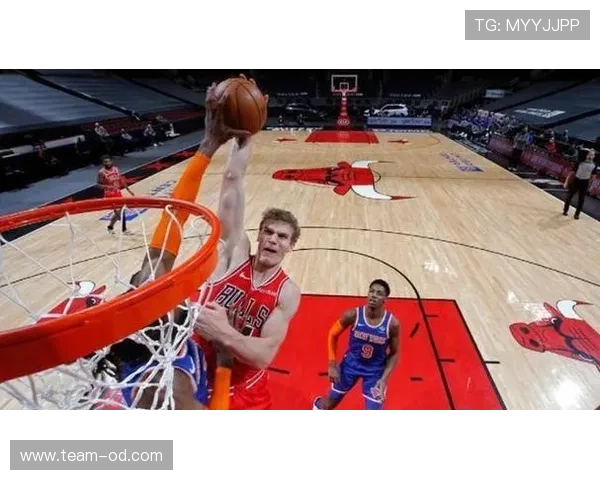 加亚边后卫风格解析：攻守均衡表现稳健